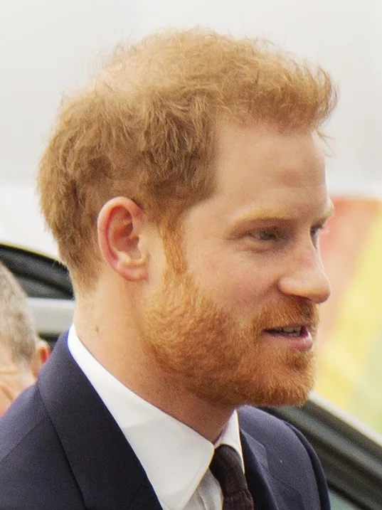 Prince Harry, Duke of Sussex, in 2020